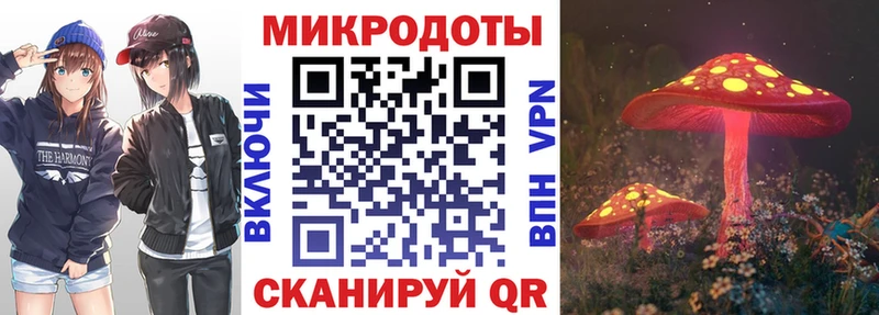 Галлюциногенные грибы Psilocybine cubensis  наркошоп  гидра ссылки  Гдов 